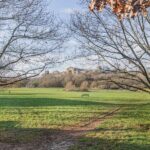 Newland House, Hornsey, N8 (2431382) Photo 6