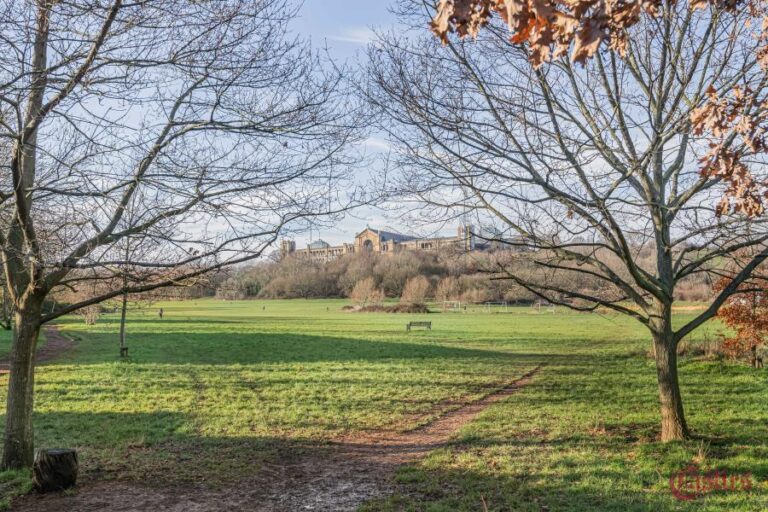 Newland House, Hornsey, N8 (2431382) Photo 6