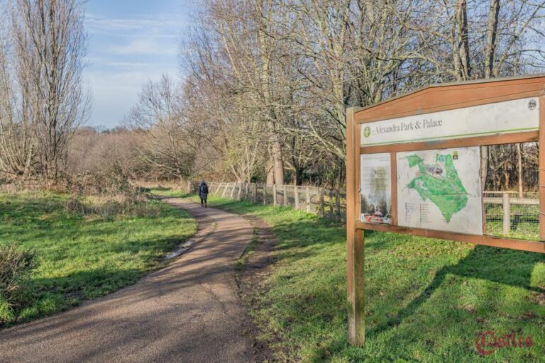 Newland House, Hornsey, N8 (2431382) Photo 9