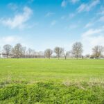 Percival Road, Enfield, EN1 (2729826) Photo 17