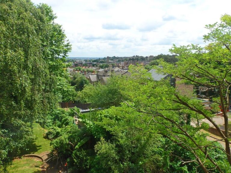 Coolhurst Road, Crouch End, N8 (2315085) Photo 6