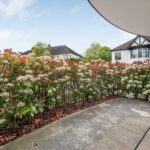 Terrace / Patio