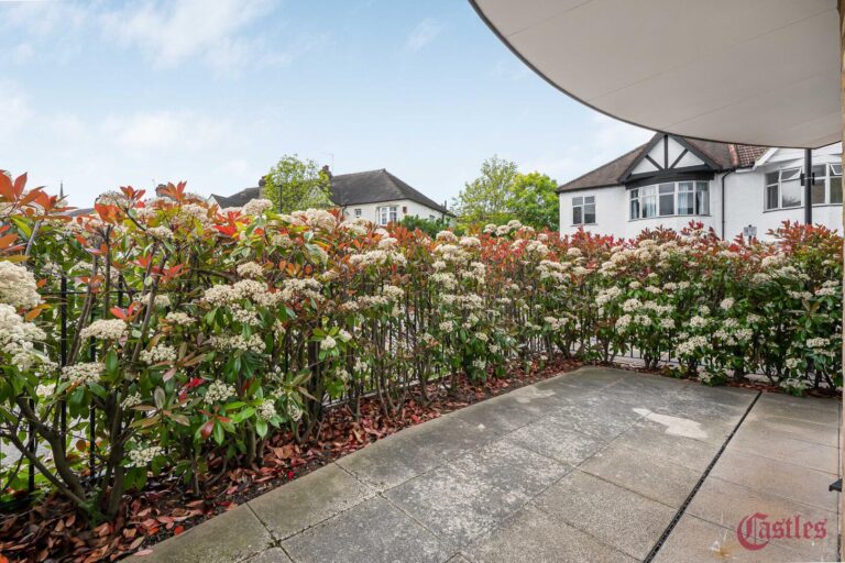 Terrace / Patio