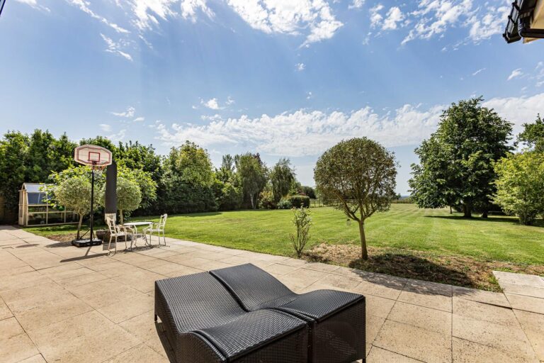 Terrace / Patio