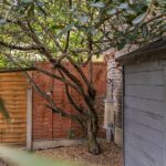 Cephas Street, Stepney Green, E1 (2675217) Photo 14