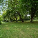 Video Court, Mount View Road, N4 (2362822) Photo 6