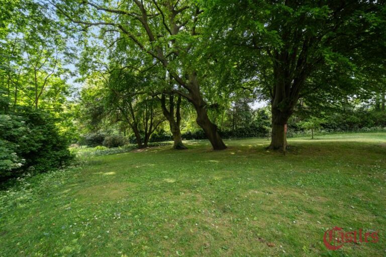 Video Court, Mount View Road, N4 (2362822) Photo 6